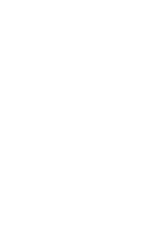 Lemin Särä