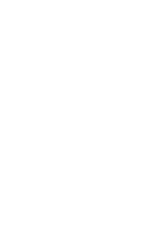 Lemin Särä